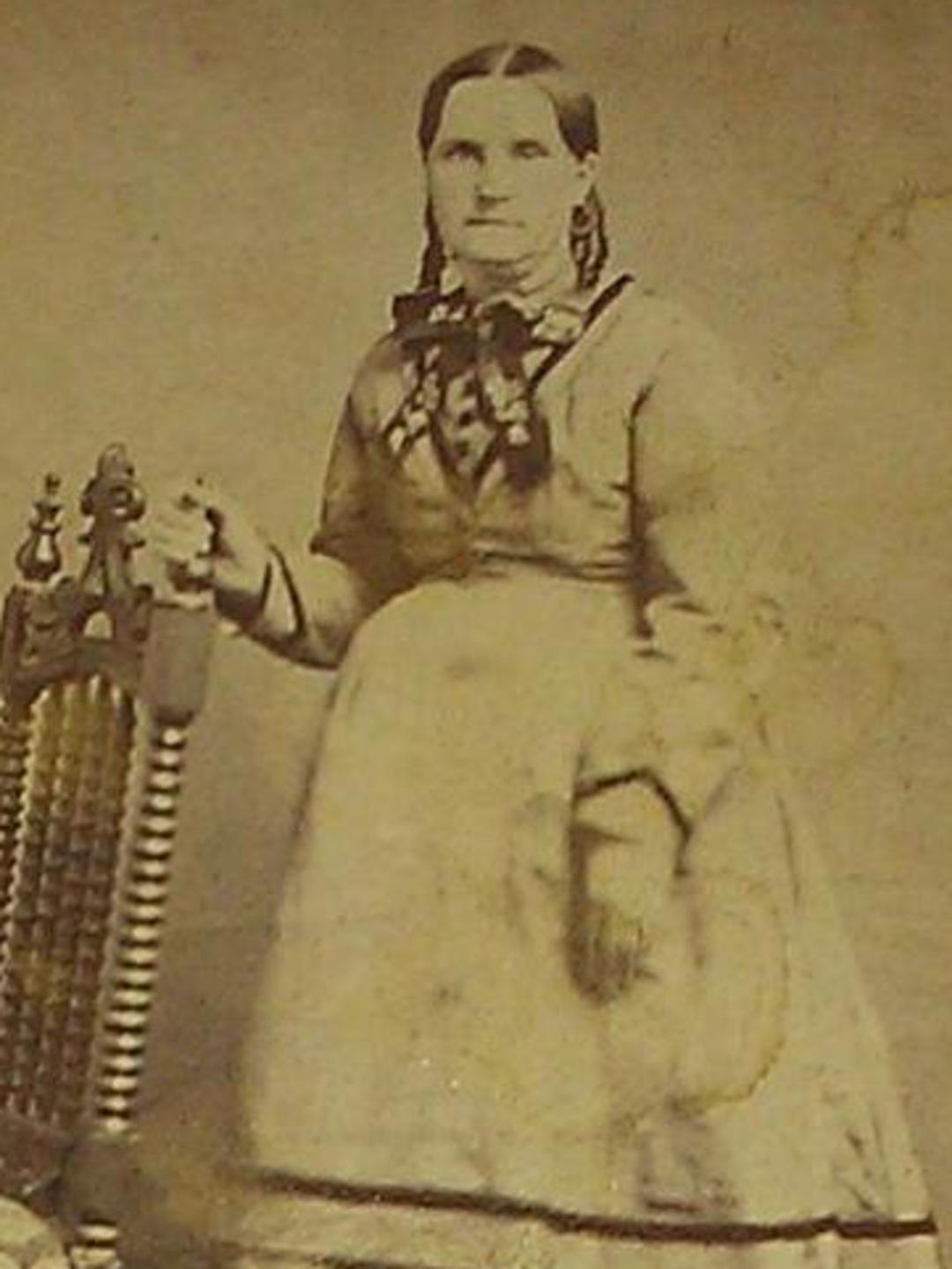 Sarah Elizabeth Moulton (1837 - 1885) Profile